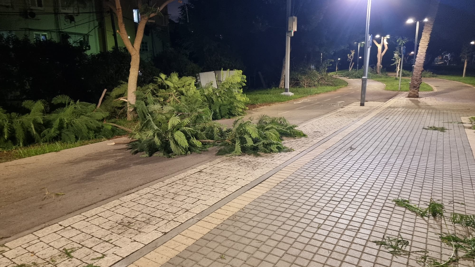 WhatsApp Image 2022-11-09 at 12.22.12 PM.jpeg